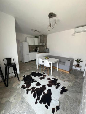 Luxus Cluj Airport Apartments